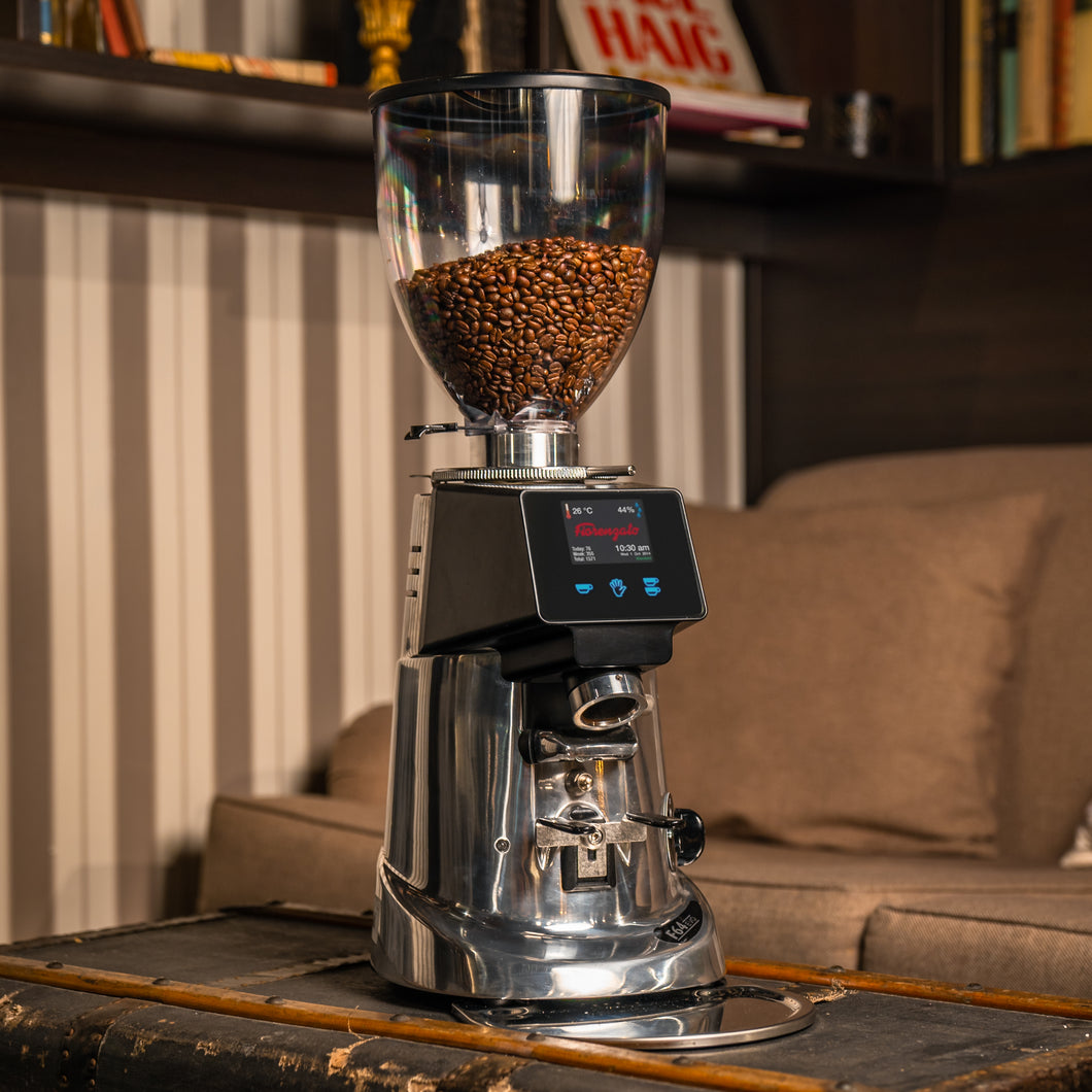 Fiorenzato F64 Evo Profi Mühle  Silber