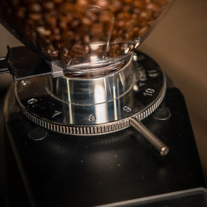 Fiorenzato F64 Evo Profi Mühle  Silber